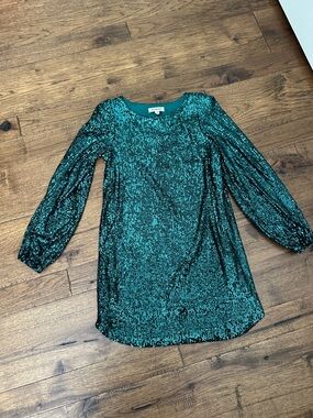 Steve Madden Emerald Green Sequin Long Sleeve Scoop Neck Top